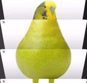 Skrileton