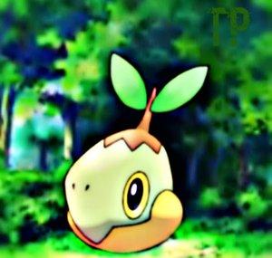 turtwigplayer 100