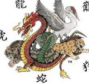 ATACX GYM SHAOLIN