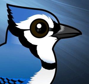 BlueJay
