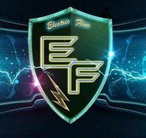 Electric Flow