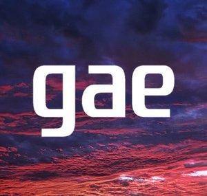 Grupo de Anisingers Emergentes - GAE