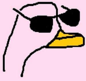 NiceFlesh