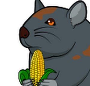RarrVODS