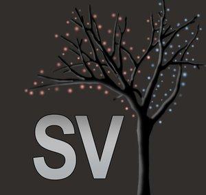 Steven Verx