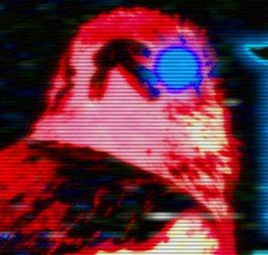 The Nevermore Collective