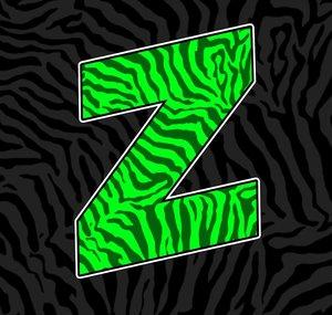 TheFlamingZebra | Gaming
