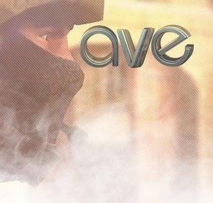 aVe1337