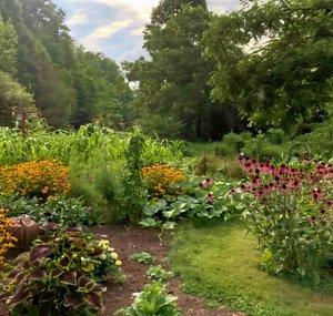 Bianca's gaming garden