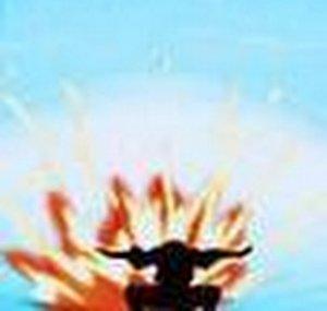 BurningSunlights