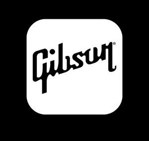 Gibson App: Learn & Play Guitar