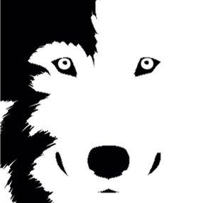 IgorWolfz