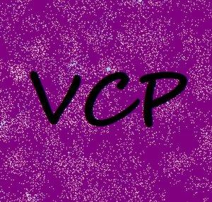 The Vocaloid Chorus Project