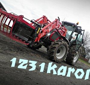 1231karol