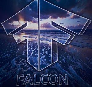 Fine Falcon
