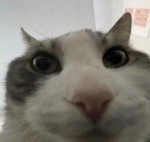 LMAOETDWFAT