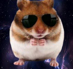 Metal Hamsters