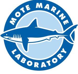 Mote Marine Laboratory & Aquarium
