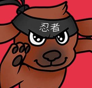 Ninja Pups