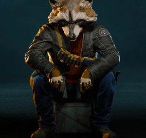 Raccoon Mask