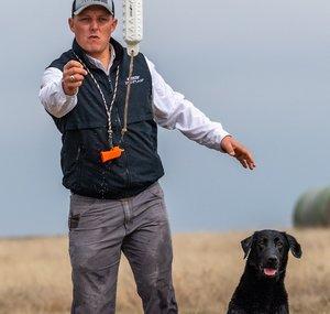 Texas Duck Dogs