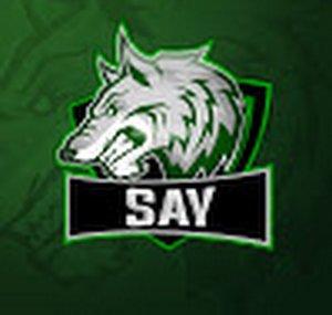 WILD_ SAY