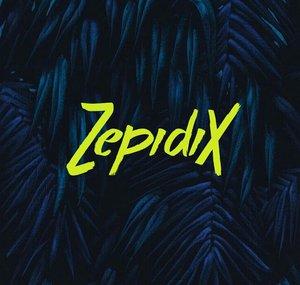 ZepidiX