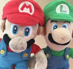 BroMarioLuigi