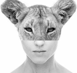 Just Like Other Animals