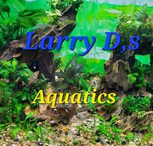 Larry D's Aquatics 