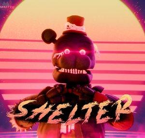 Shelter
