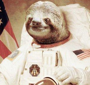 SpaceSlothMcMagic