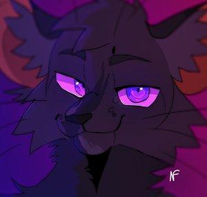 Sproxy mag Warrior Cats