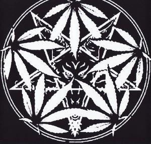 TOPUR666