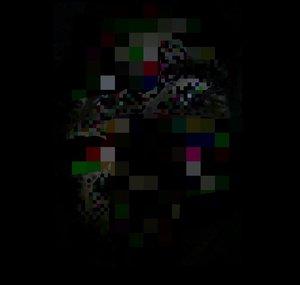 true_descent