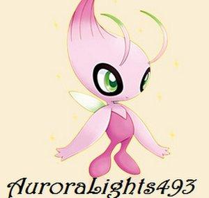 AuroraLights493