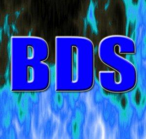 Blue Devil Studios