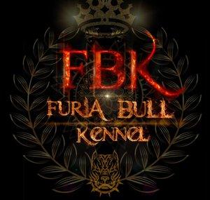 Furia Bull Kennel
