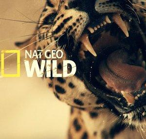 Nat Geo Wild HD