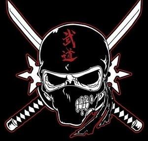 NinjaOnWheels