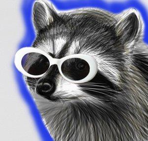 RaccoonEggs