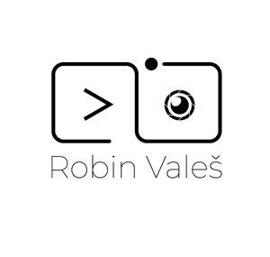 Robin Valeš