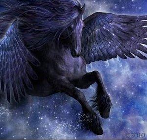 xTheBlackUnicorn