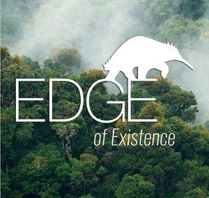 ZSLEDGETV