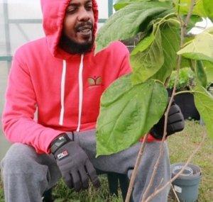 BrokeFarmer