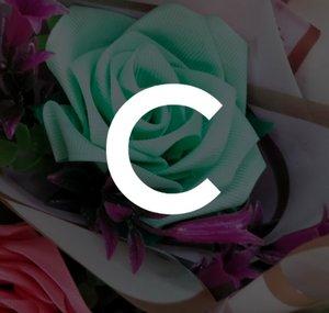 Crashiclo