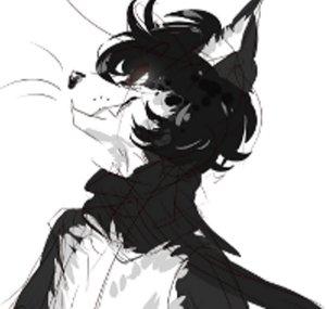 DarkFoxProductions