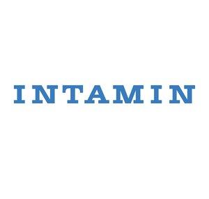 Intamin Amusement Rides (intaminofficial)