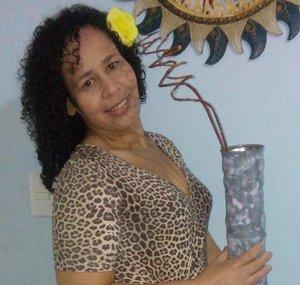 Nay Dias Artesanatos Com Reciclagem 