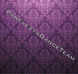 Panevezysdanceteam